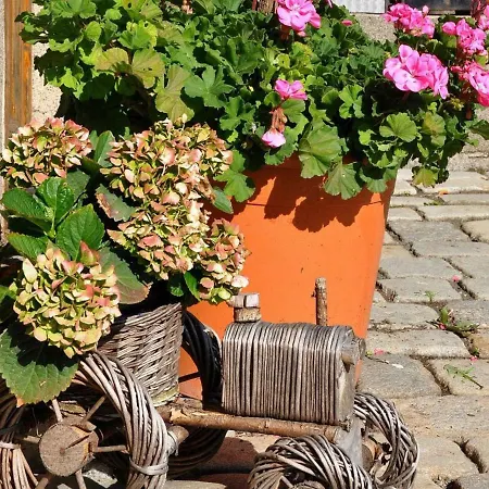 Apartamento Ferienhof Jehmichen Saalfeld Saale